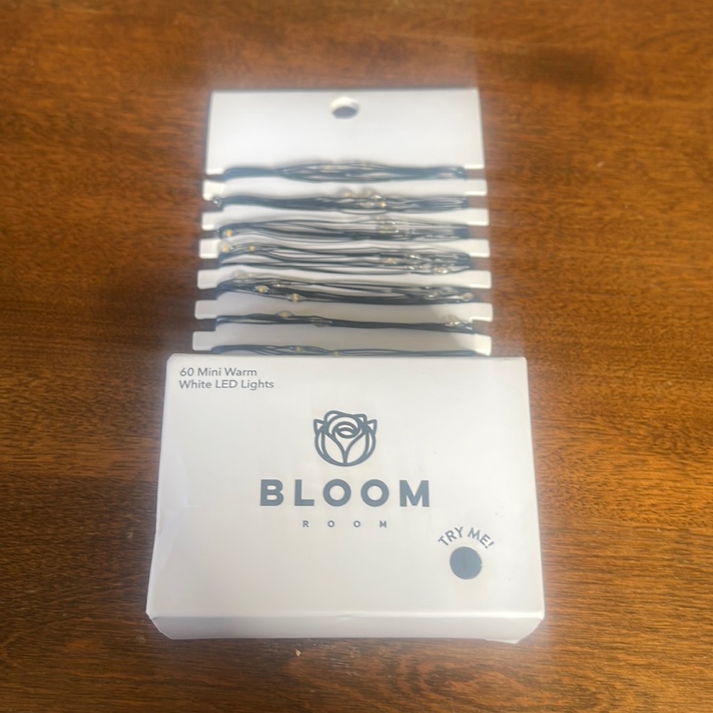 Bloom Room 60 ct LED Mini Black Wire with Warm White String Lights